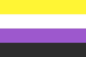 Non Binary Flag